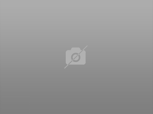 720 Angelus Place Venice, CA 90291 - Photo 2 of 2