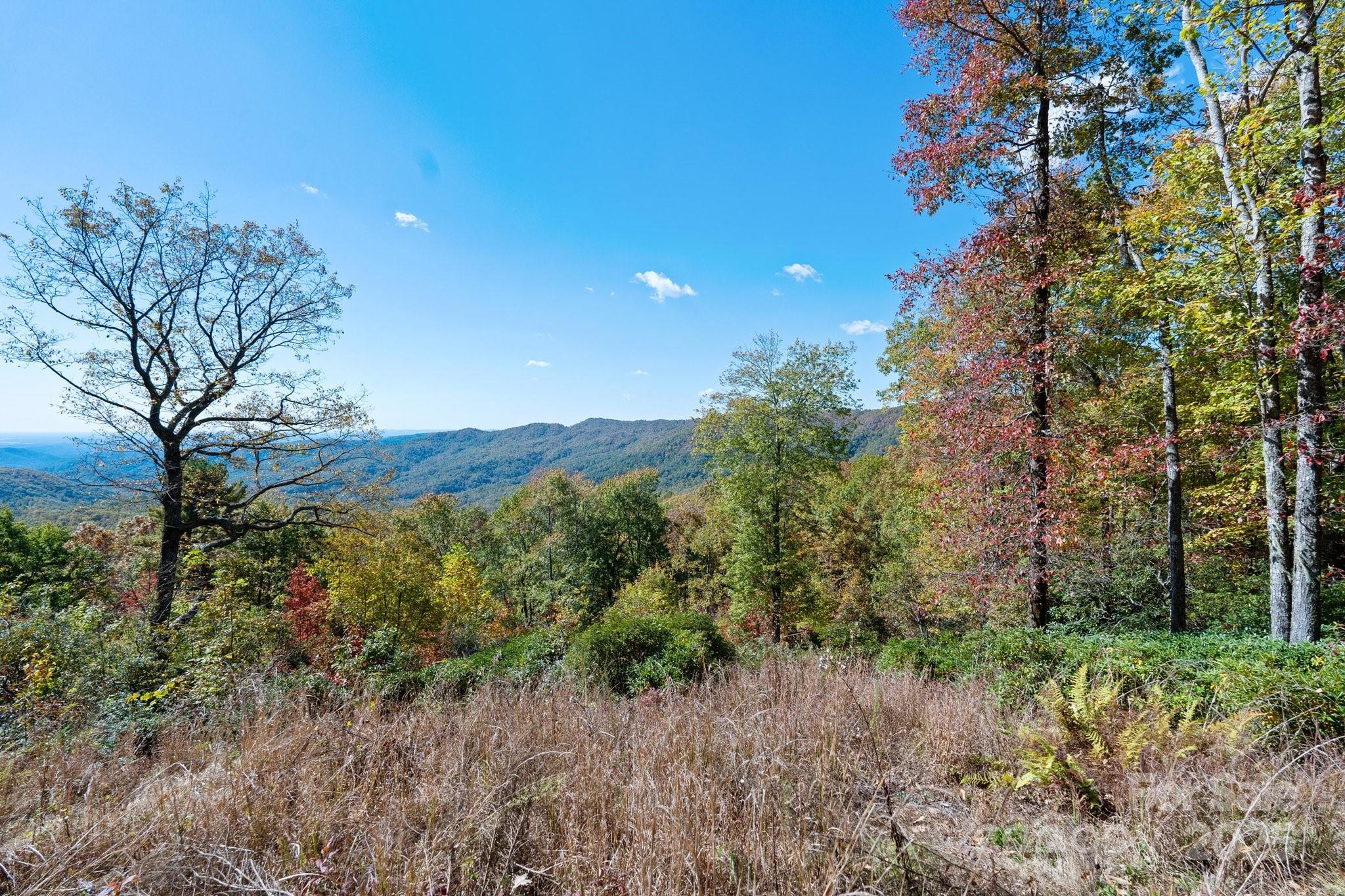 Tbd Sassafras Ridge, Unit 36 Rosman, NC 28772 - Photo 1 of 25 Gallery Image 1