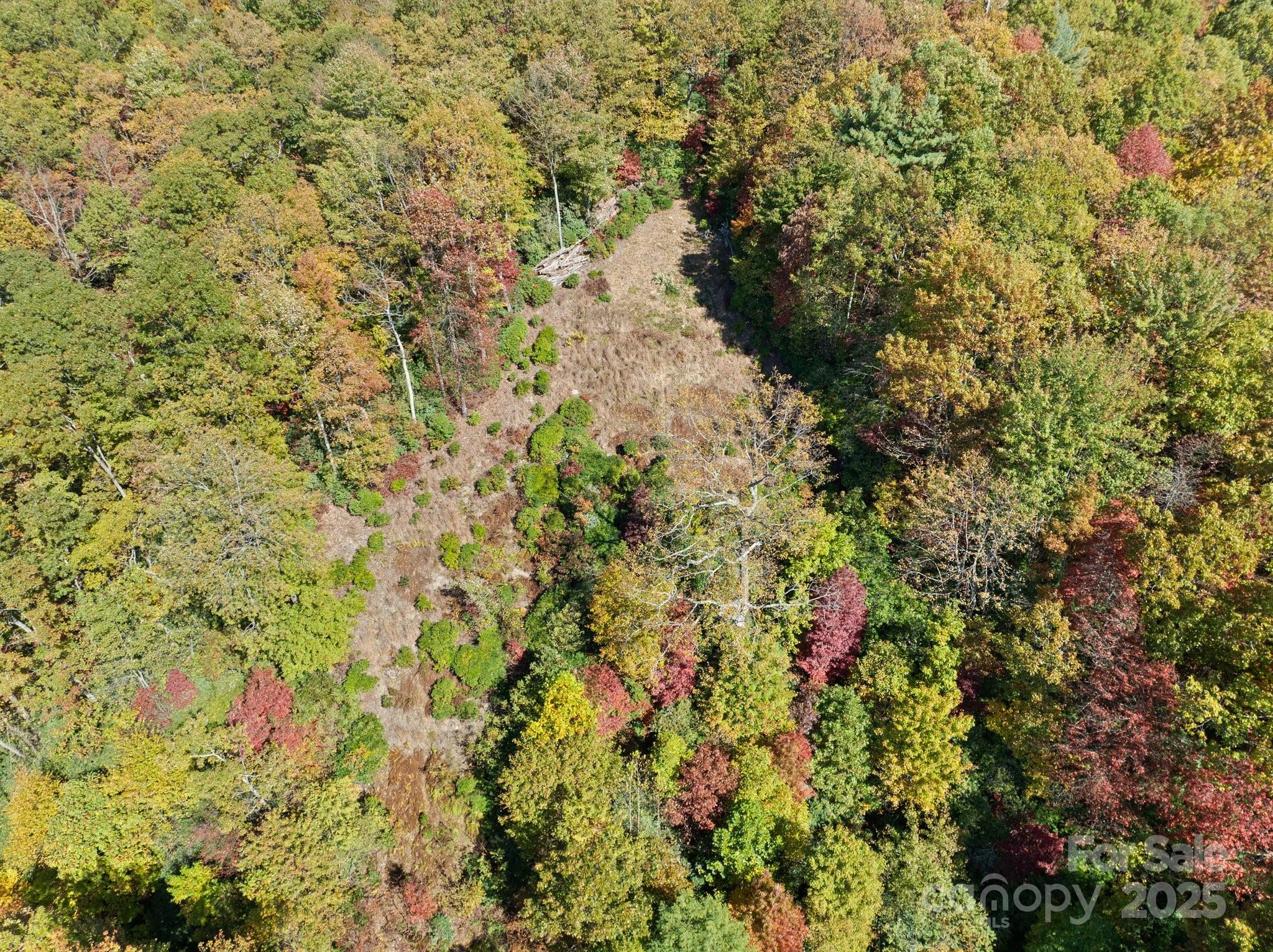 Tbd Sassafras Ridge, Unit 36 Rosman, NC 28772 - Photo 15 of 25 Gallery Image 15