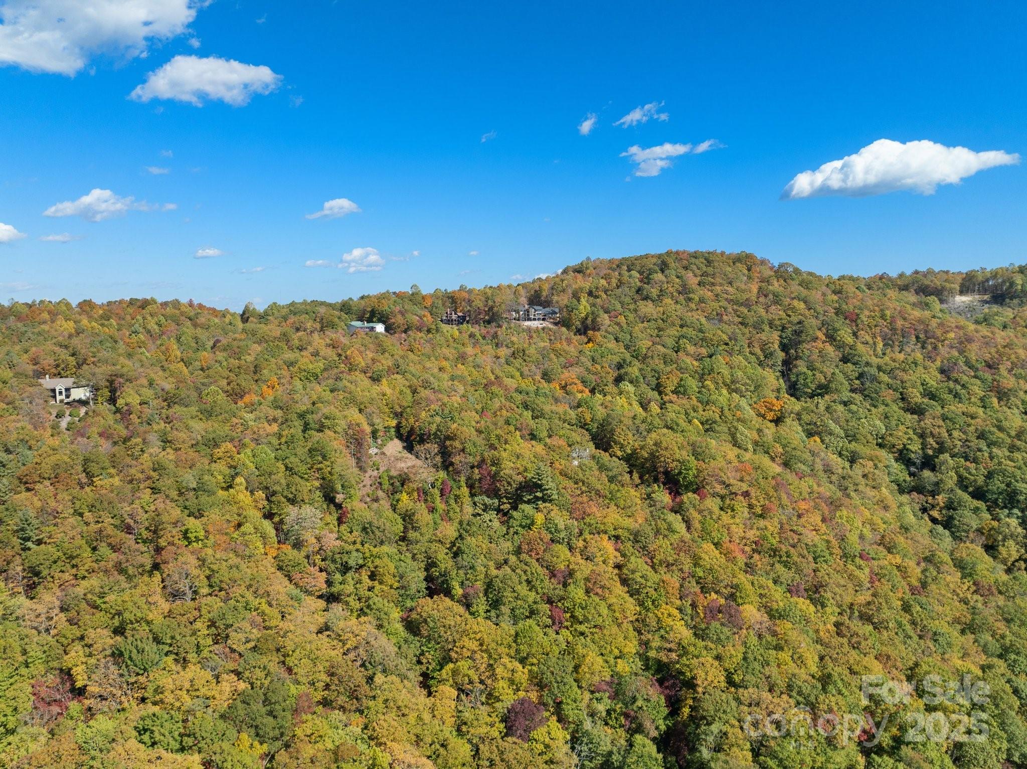 Tbd Sassafras Ridge, Unit 36 Rosman, NC 28772 - Photo 17 of 25 Gallery Image 17