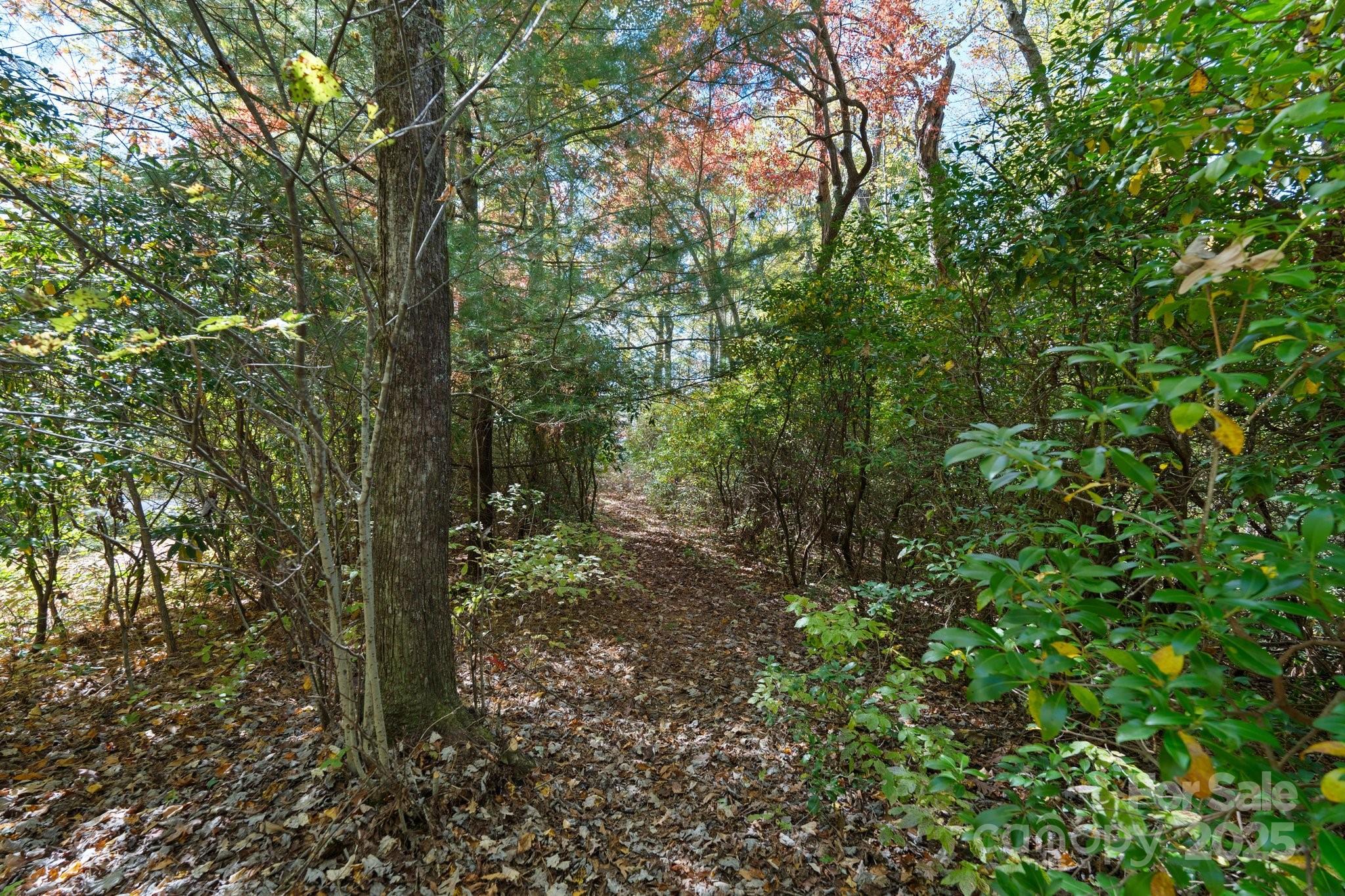 Tbd Sassafras Ridge, Unit 36 Rosman, NC 28772 - Photo 20 of 25 Gallery Image 20