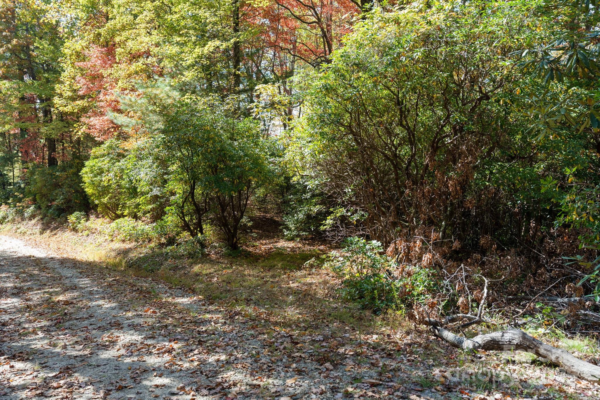 Tbd Sassafras Ridge, Unit 36 Rosman, NC 28772 - Photo 21 of 25 Gallery Image 21