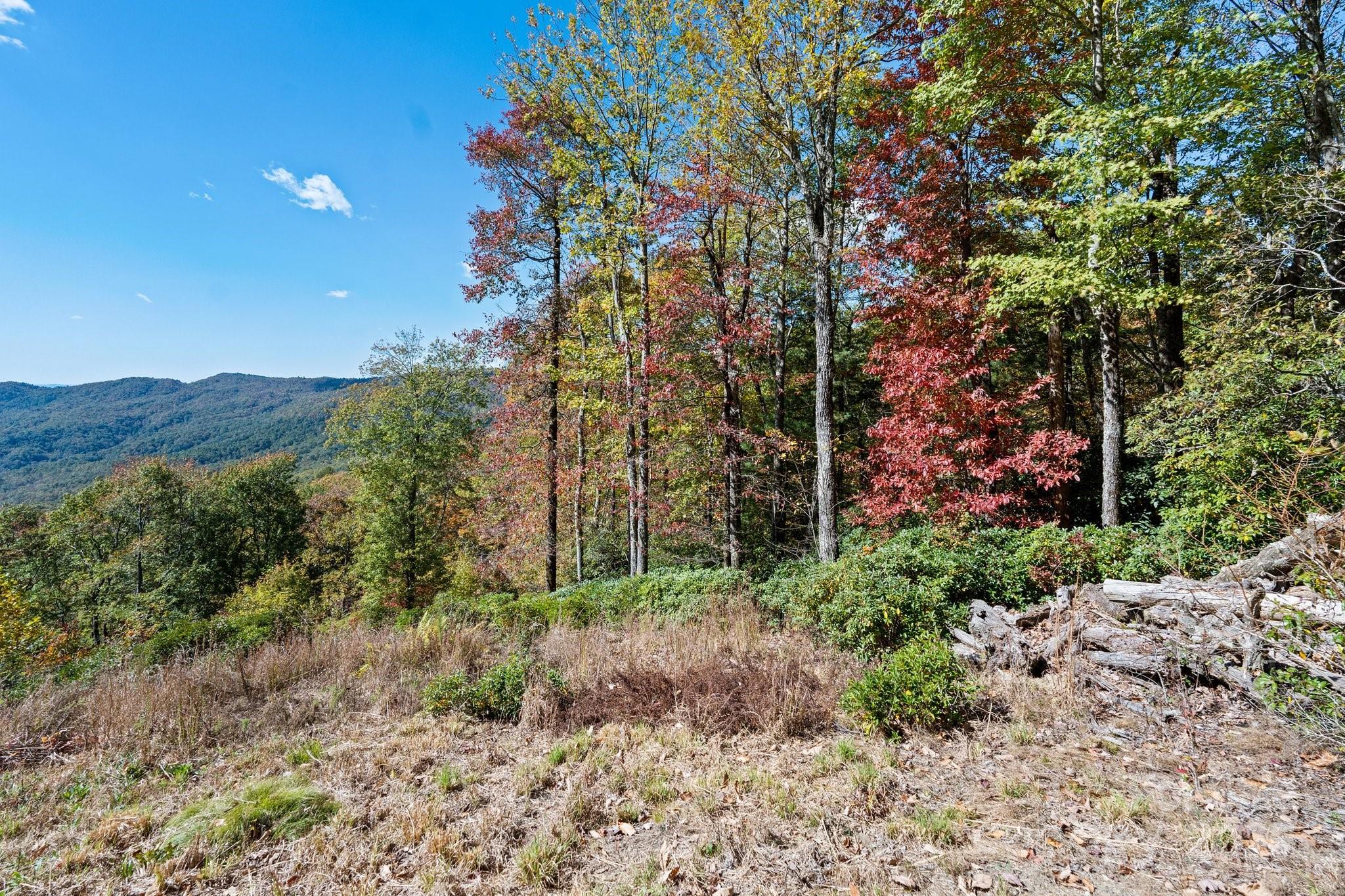 Tbd Sassafras Ridge, Unit 36 Rosman, NC 28772 - Photo 23 of 25 Gallery Image 23