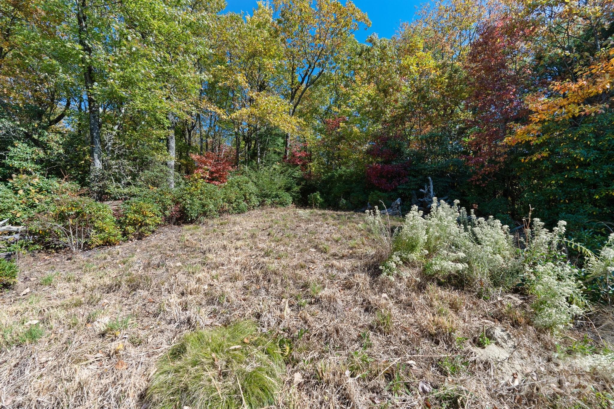 Tbd Sassafras Ridge, Unit 36 Rosman, NC 28772 - Photo 24 of 25 Gallery Image 24