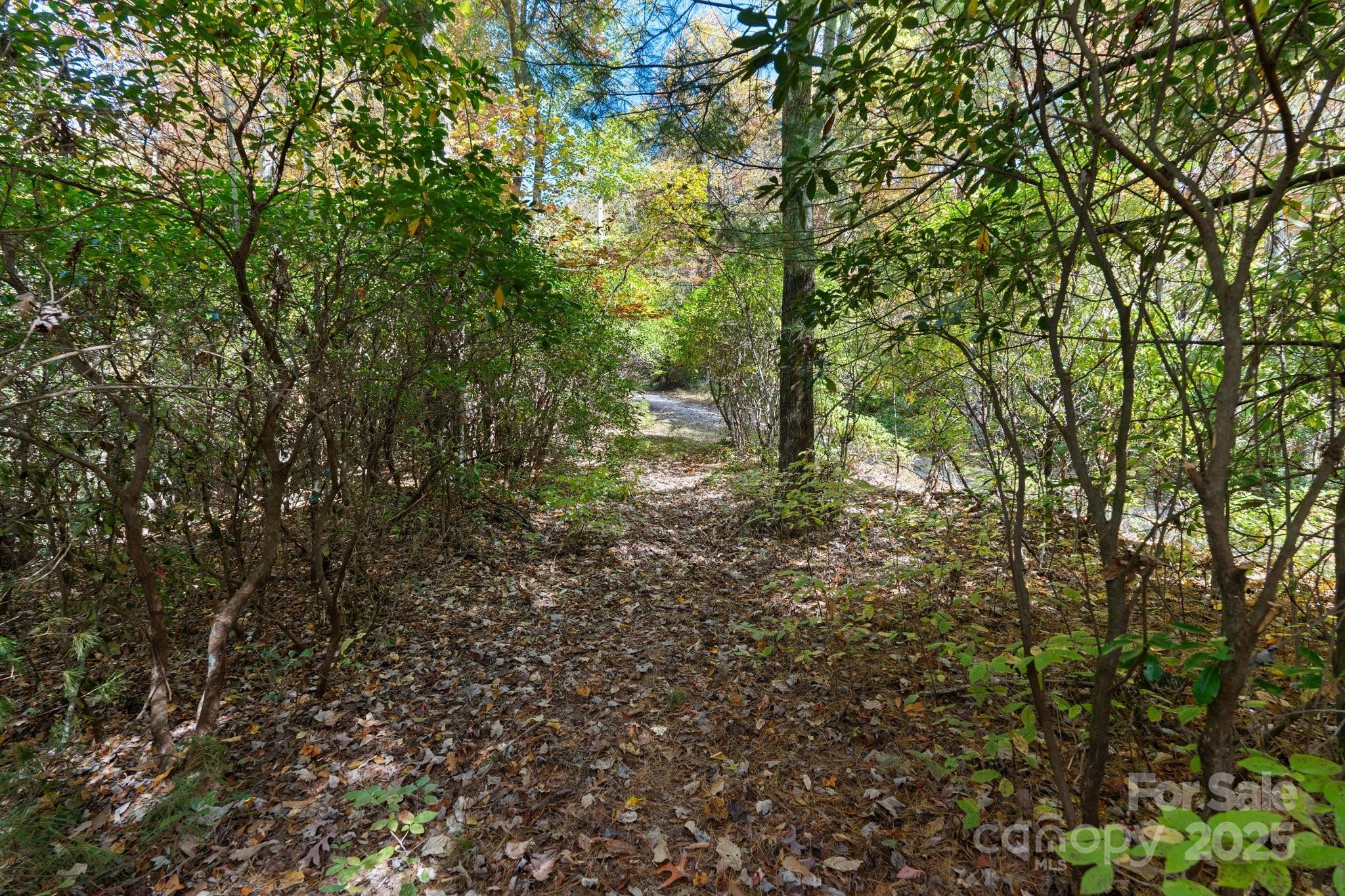 Tbd Sassafras Ridge, Unit 36 Rosman, NC 28772 - Photo 25 of 25 Gallery Image 25