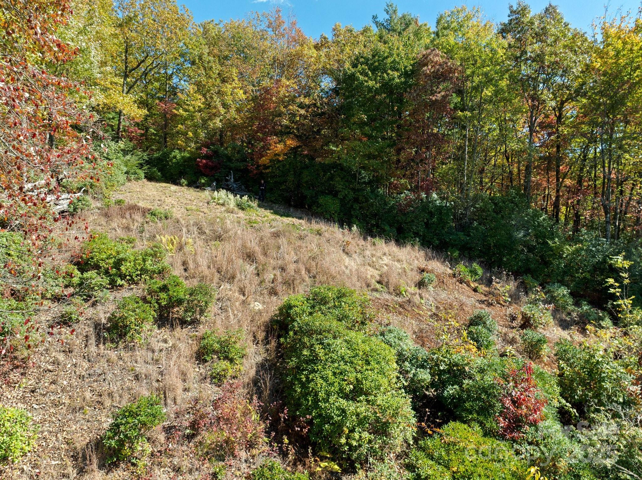 Tbd Sassafras Ridge, Unit 36 Rosman, NC 28772 - Photo 3 of 25 Gallery Image 3