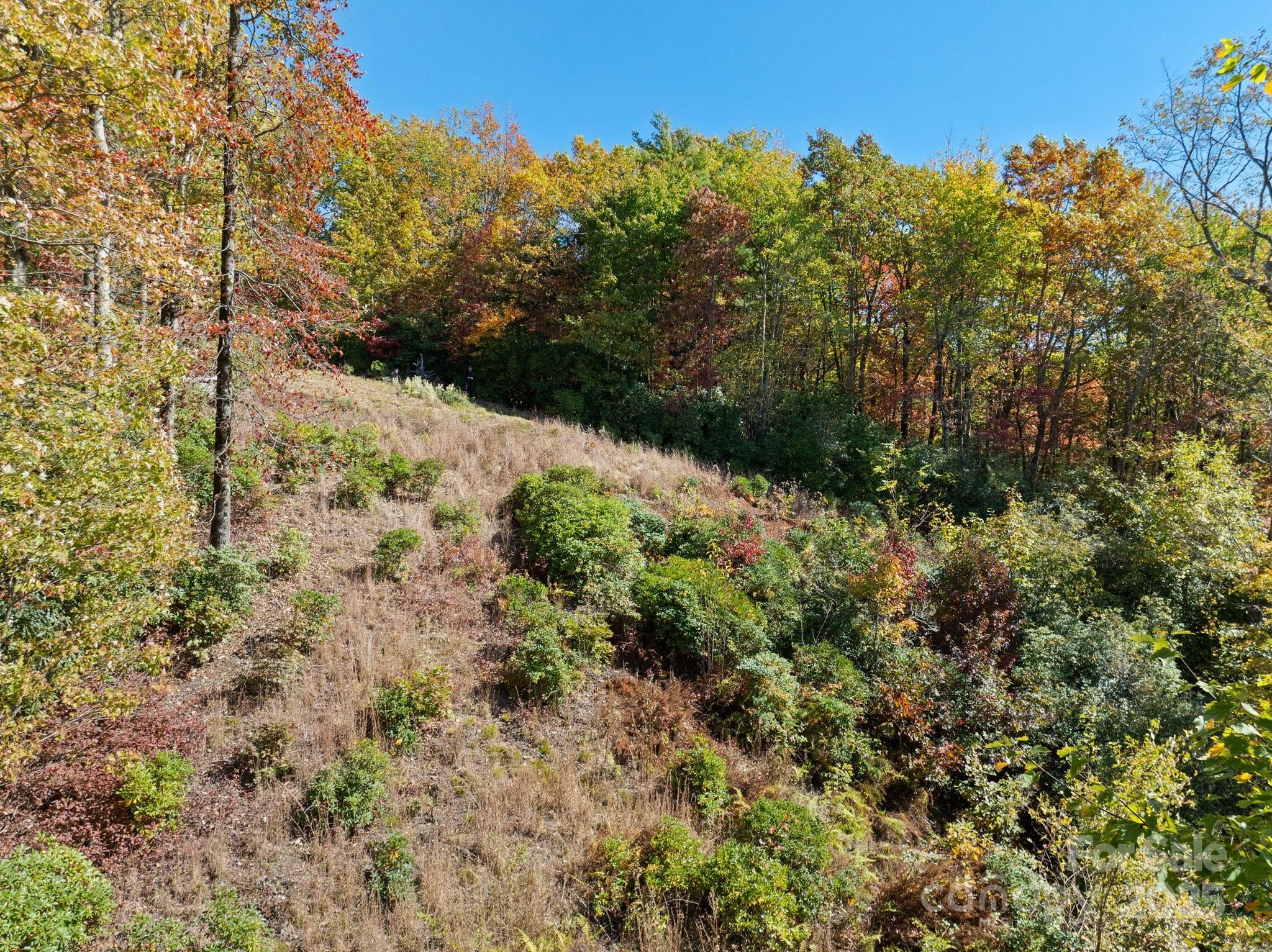 Tbd Sassafras Ridge, Unit 36 Rosman, NC 28772 - Photo 4 of 25 Gallery Image 4