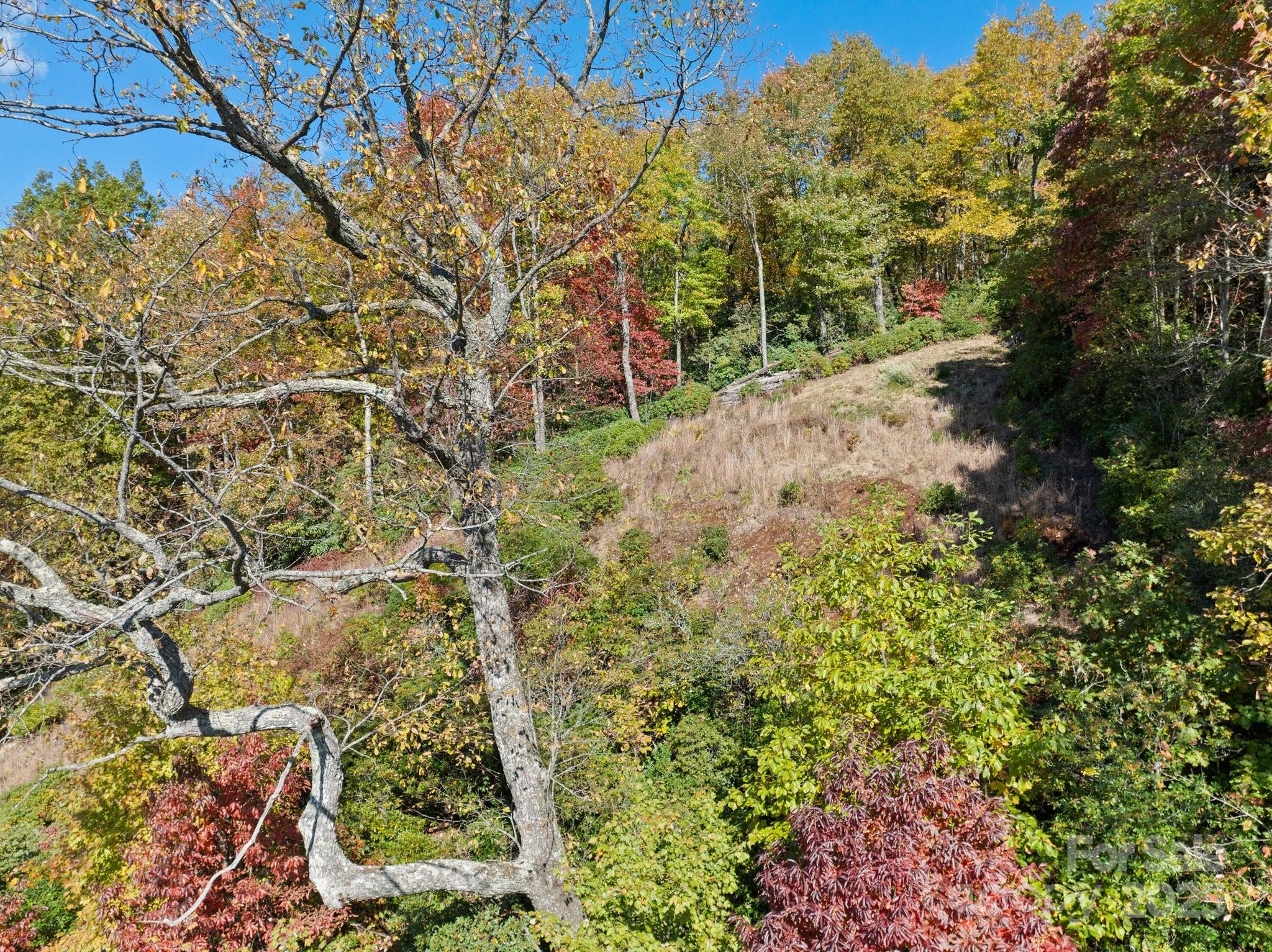 Tbd Sassafras Ridge, Unit 36 Rosman, NC 28772 - Photo 5 of 25 Gallery Image 5