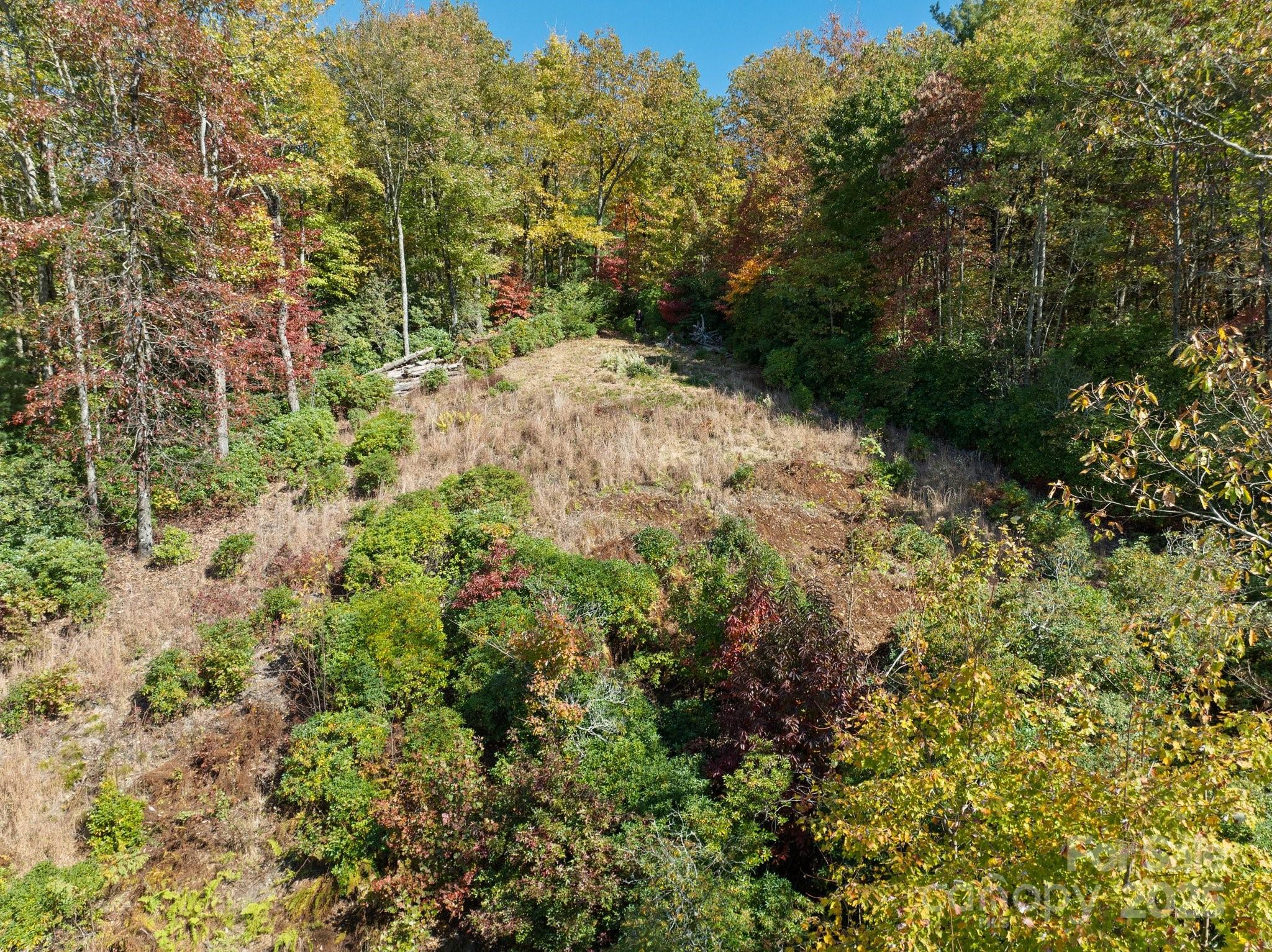 Tbd Sassafras Ridge, Unit 36 Rosman, NC 28772 - Photo 6 of 25 Gallery Image 6