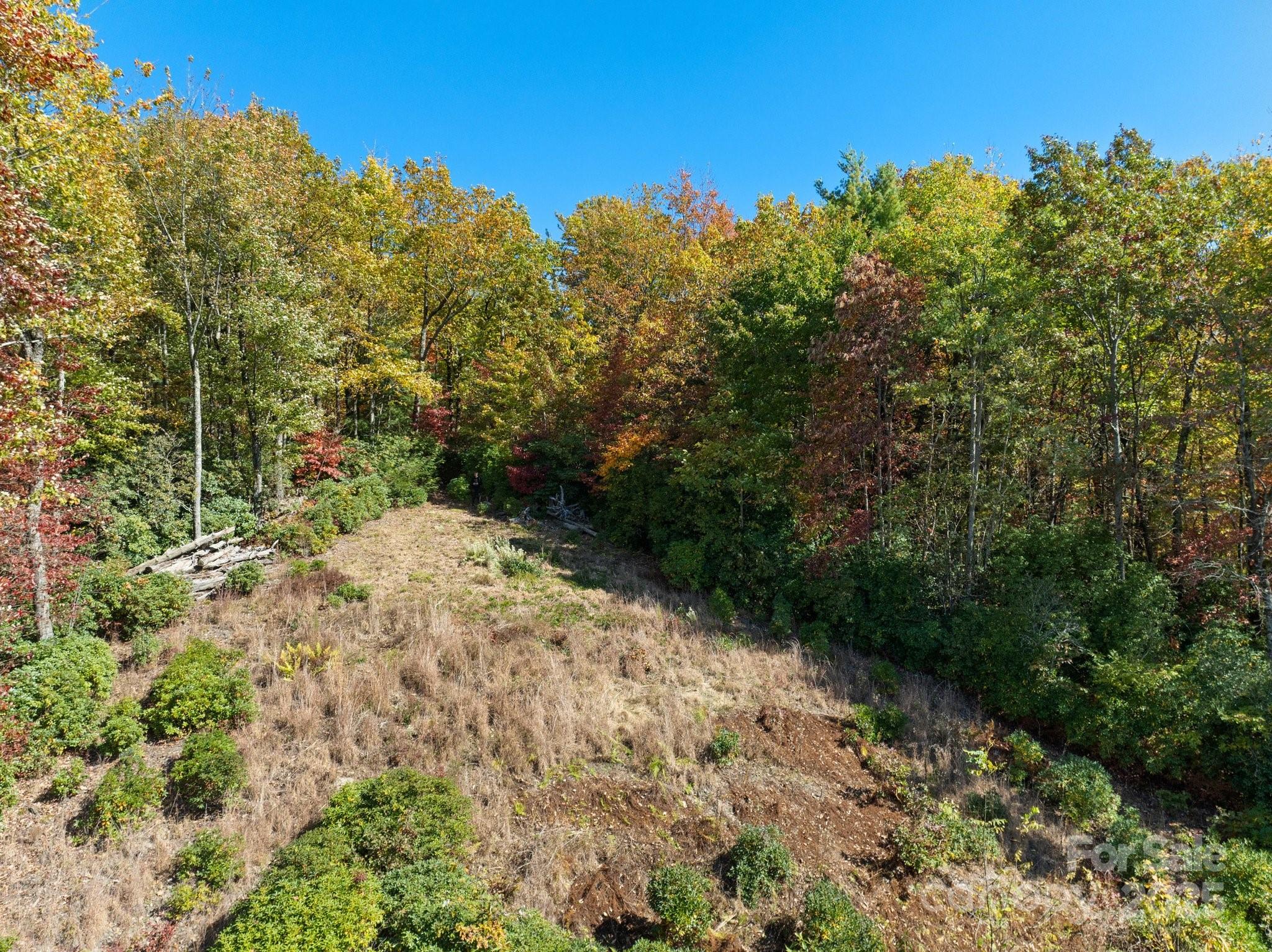 Tbd Sassafras Ridge, Unit 36 Rosman, NC 28772 - Photo 7 of 25 Gallery Image 7