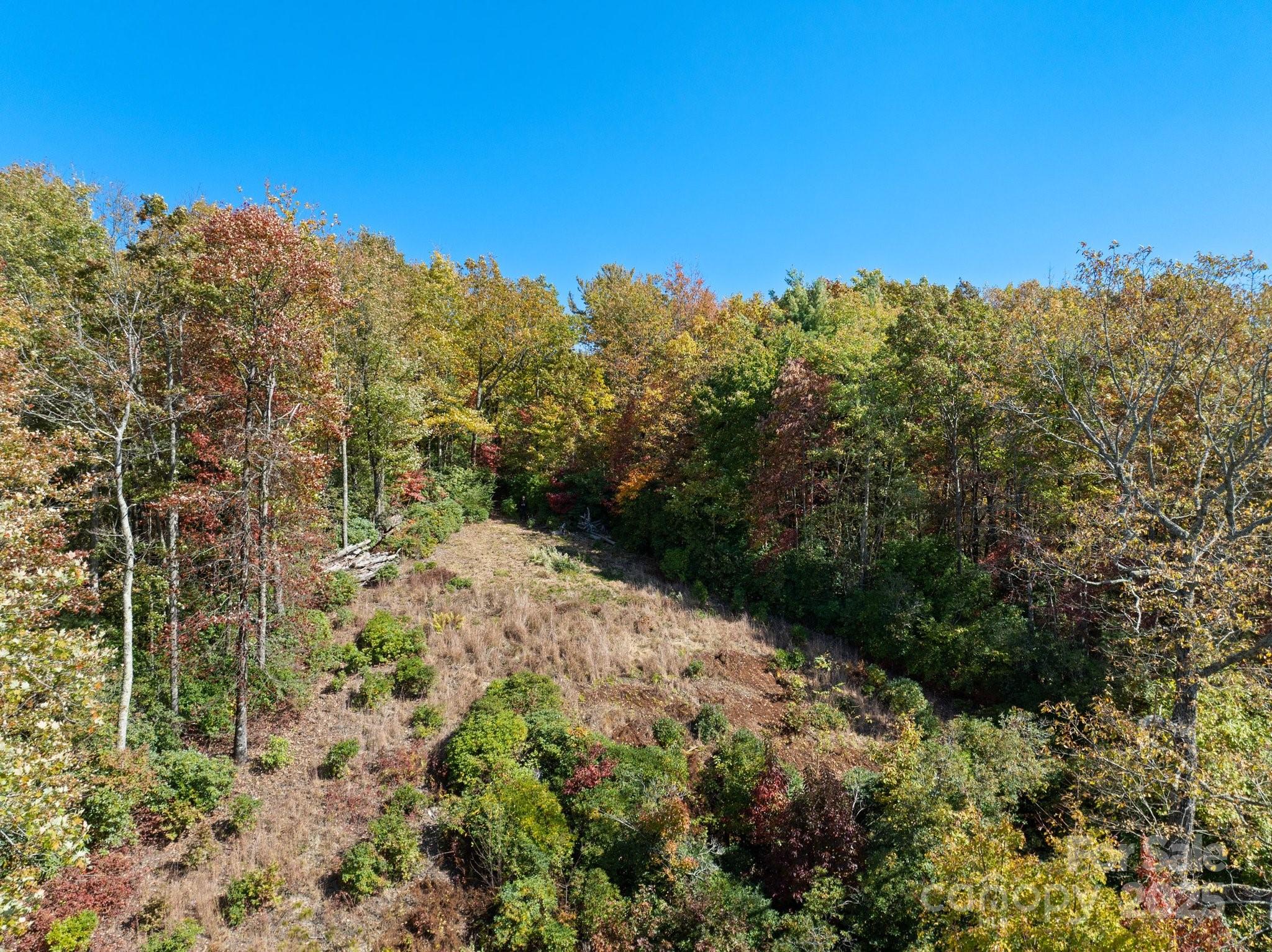 Tbd Sassafras Ridge, Unit 36 Rosman, NC 28772 - Photo 8 of 25 Gallery Image 8