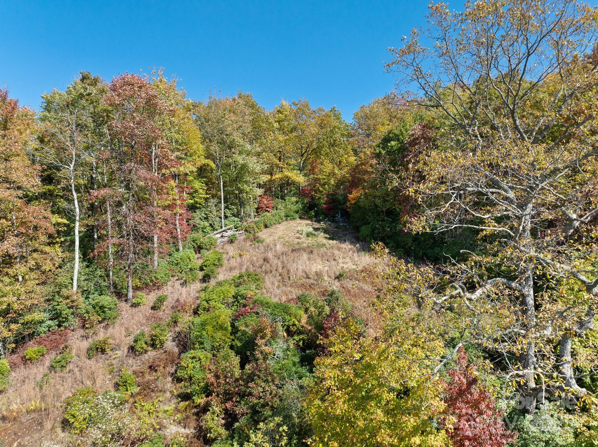 Tbd Sassafras Ridge, Unit 36 Rosman, NC 28772 - Photo 9 of 25 Gallery Image 9