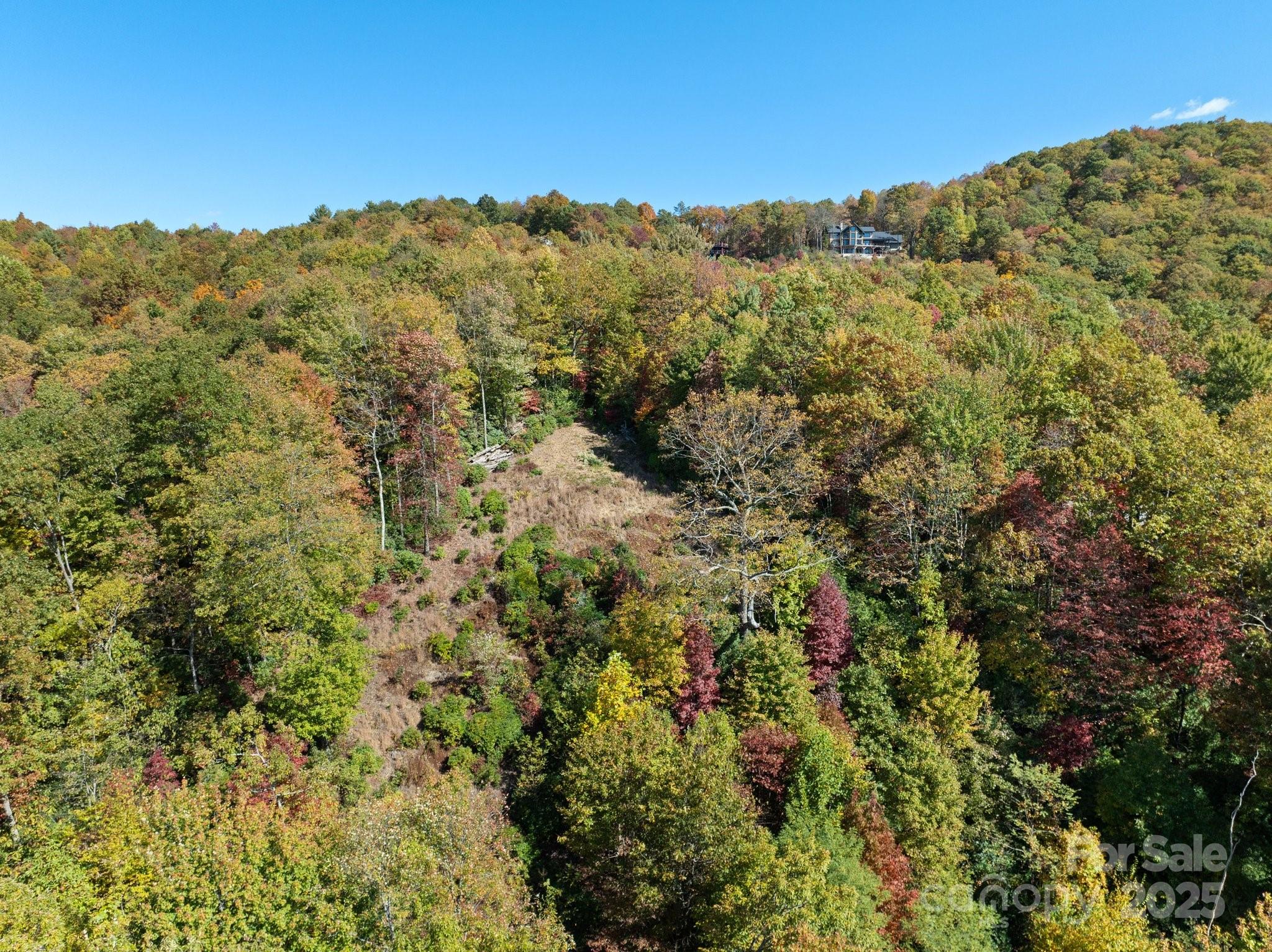 Tbd Sassafras Ridge, Unit 36 Rosman, NC 28772 - Photo 10 of 25 Gallery Image 10