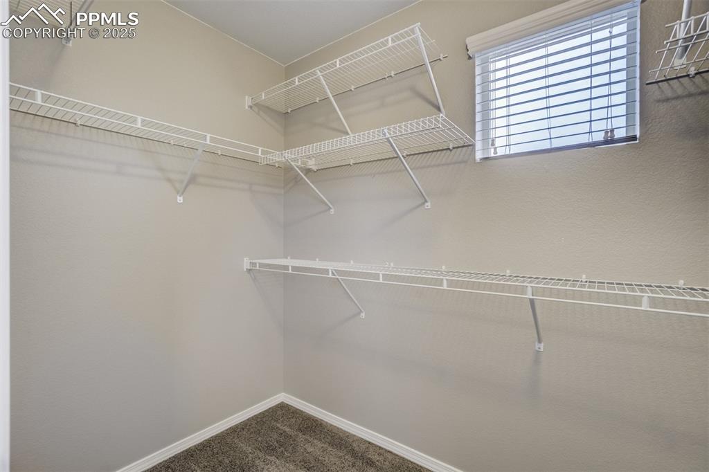 3410 Daydreamer Drive Colorado Springs, CO 80908 - Photo 30 of 50 a view of a room with racks on the wall