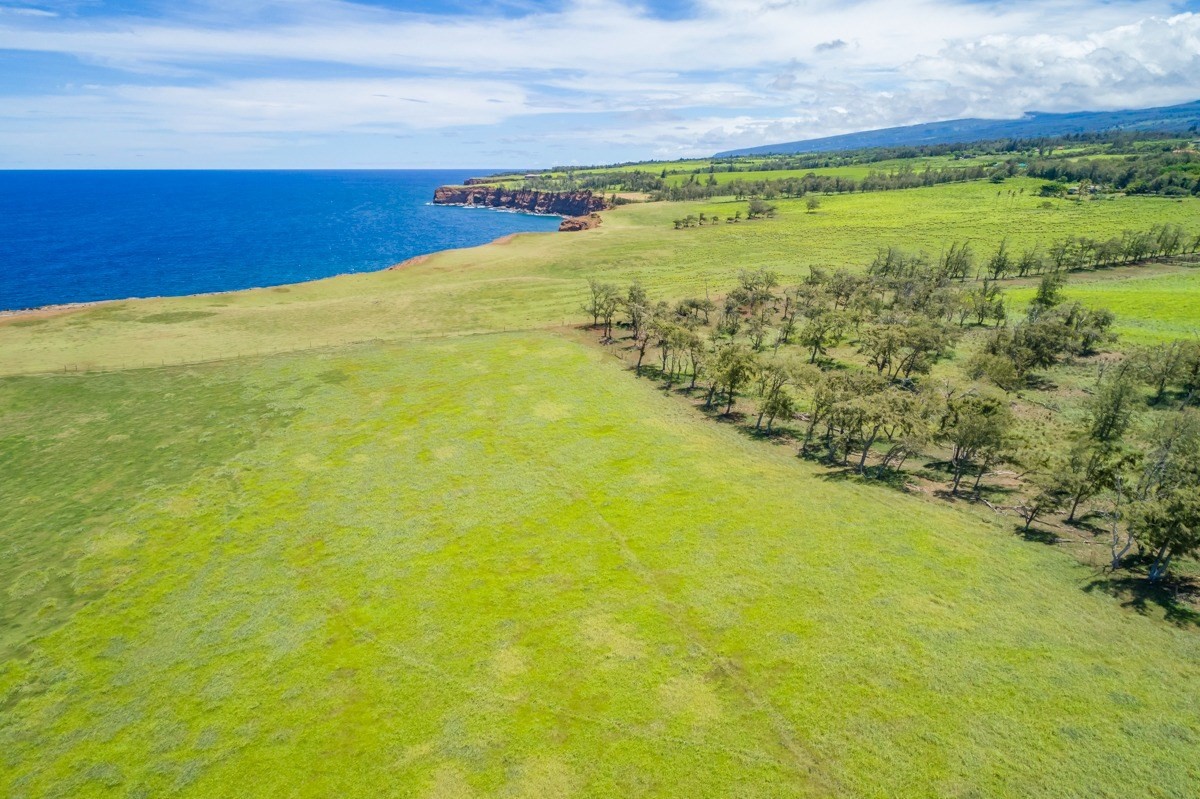 304 Hoea Road Hawi, HI 96719 - Photo 12 of 13