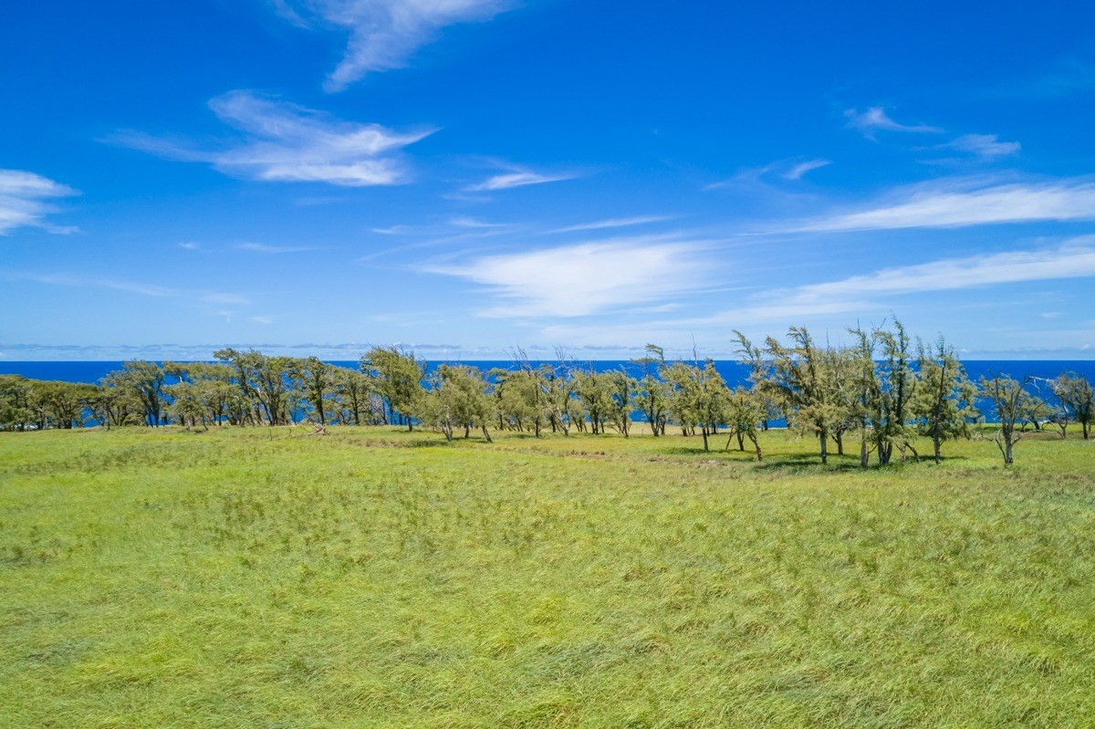 304 Hoea Road Hawi, HI 96719 - Photo 5 of 13