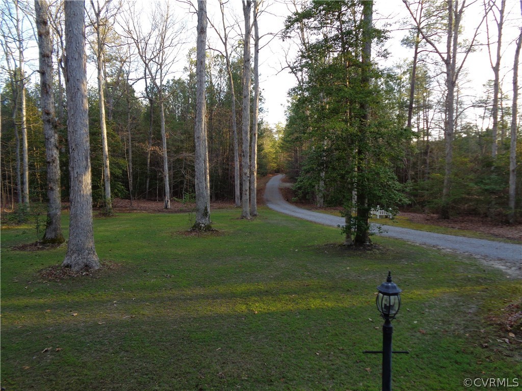 8901 Woodpecker Road Chesterfield, VA 23838 - Photo 2 of 46 Breathtaking, private, scenic driveway leading to