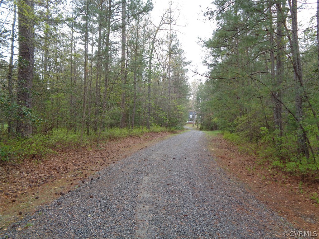 8901 Woodpecker Road Chesterfield, VA 23838 - Photo 3 of 46 Breathtaking, private, scenic driveway leading to
