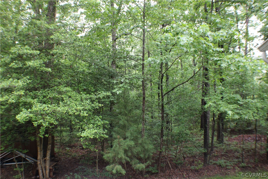 8901 Woodpecker Road Chesterfield, VA 23838 - Photo 35 of 46 Gorgeous backyard view!