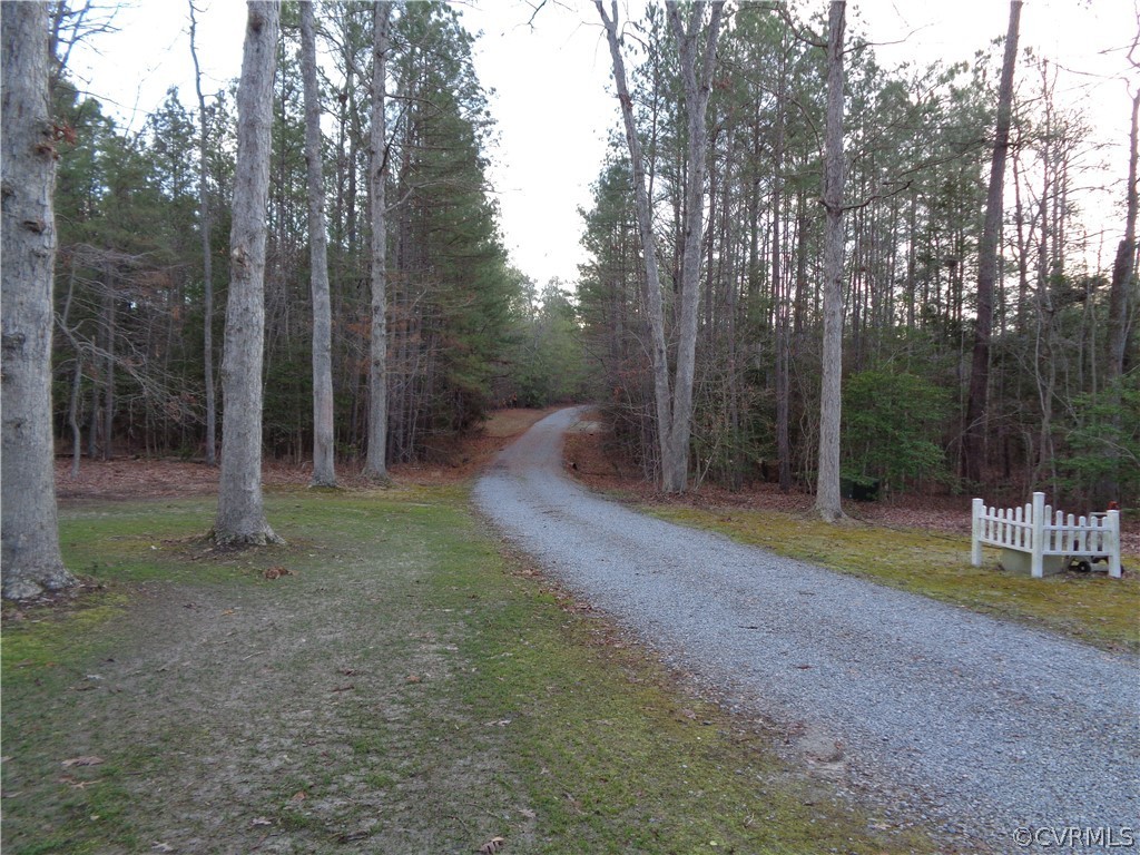 8901 Woodpecker Road Chesterfield, VA 23838 - Photo 44 of 46 Breathtaking, private, scenic driveway leading to