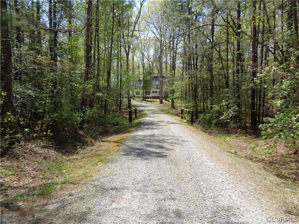 8901 Woodpecker Road Chesterfield, VA 23838 - Photo 45 of 46 Breathtaking, private, scenic driveway leading to