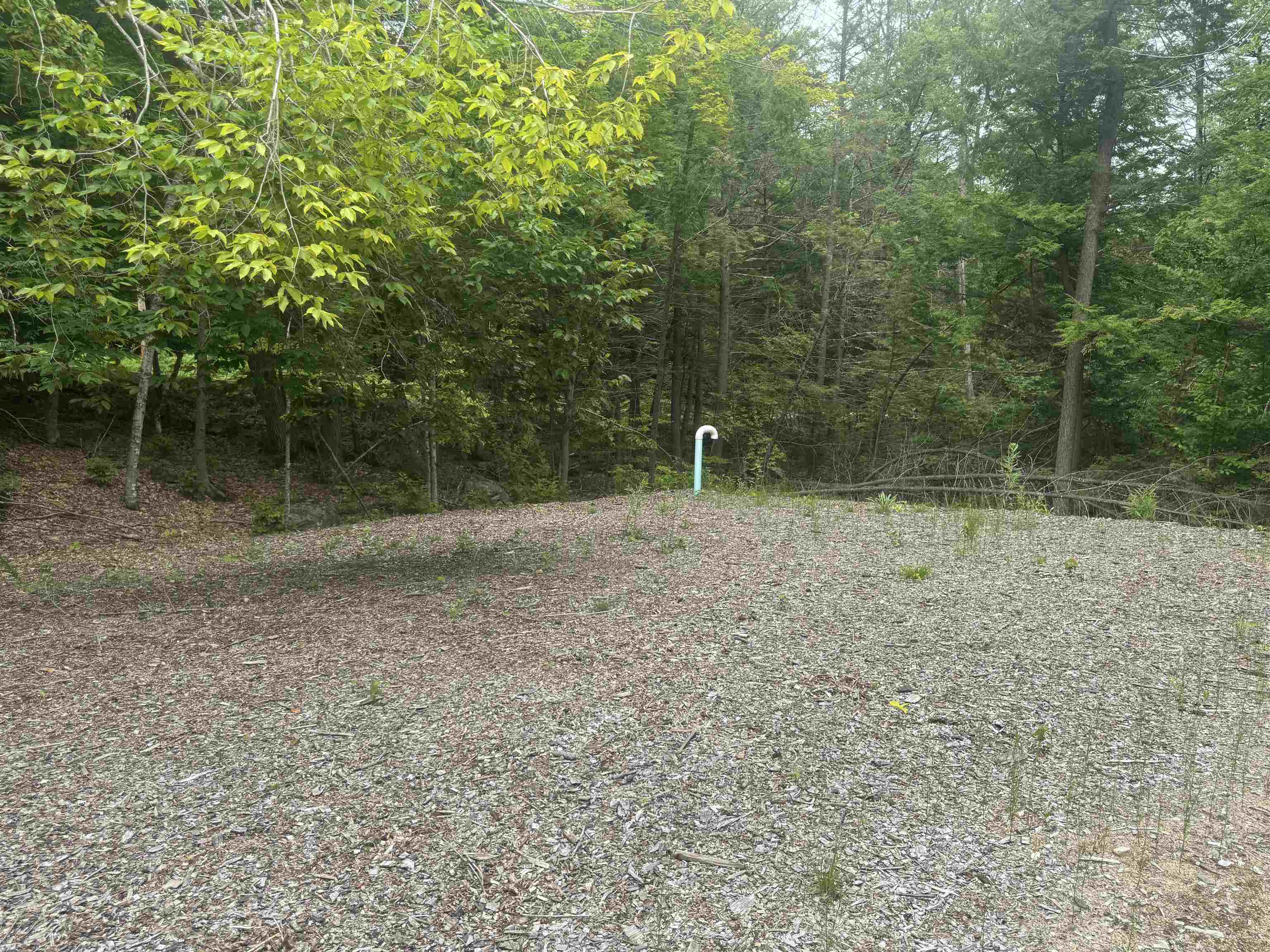 90 Browns Ridge Road Ossipee, NH 03864 - Photo 8 of 19 Gallery Image 8