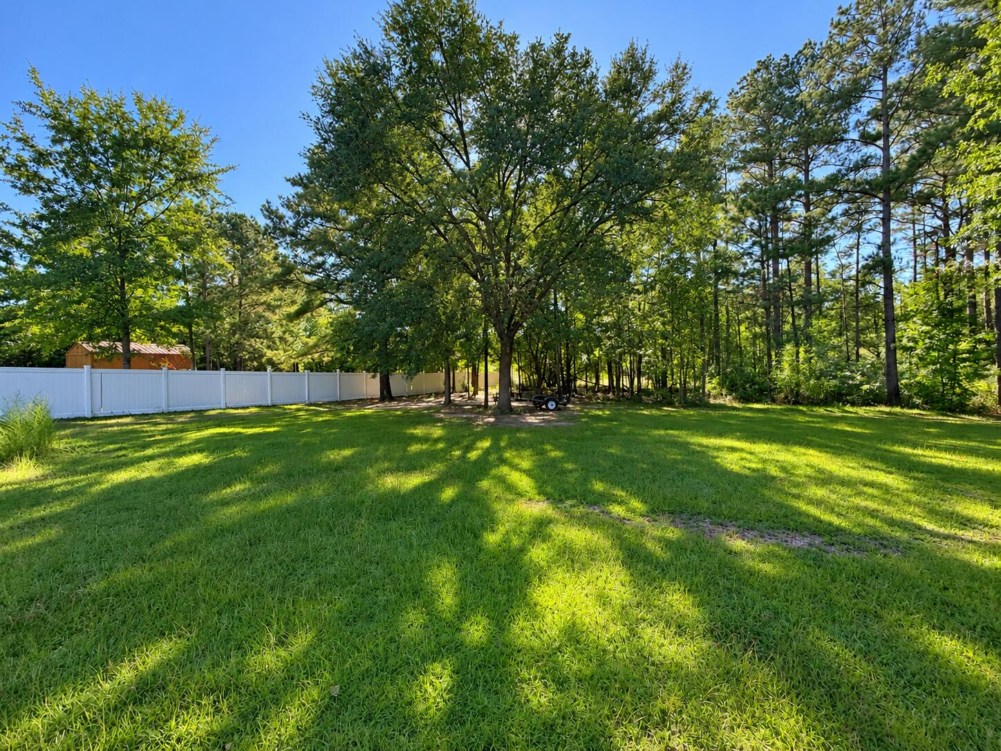 Sunlit backyard with plenty of shade