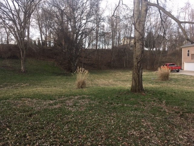 265 Magnum Road Alvaton, KY 42122 - Photo 6 of 34 Gallery Image 6