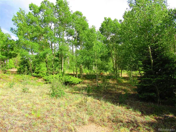 $25,000 | Lot 6093 Forbes Road, San Luis, CO 81152