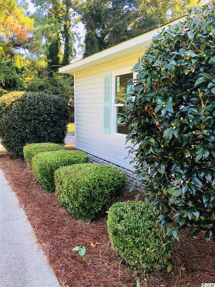 2313 South Island Road Georgetown, SC 29440 - Photo 3 of 29