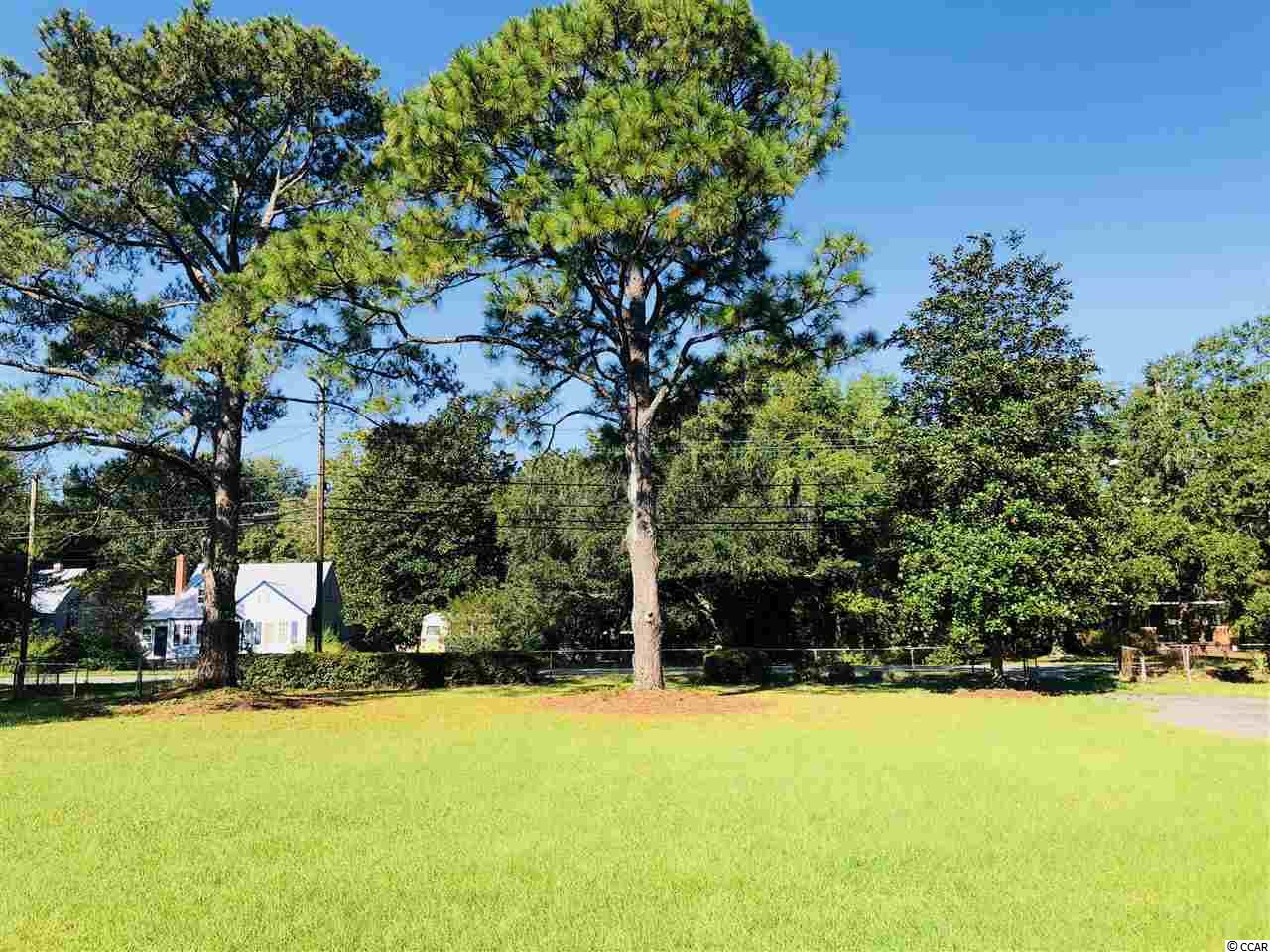 2313 South Island Road Georgetown, SC 29440 - Photo 7 of 29