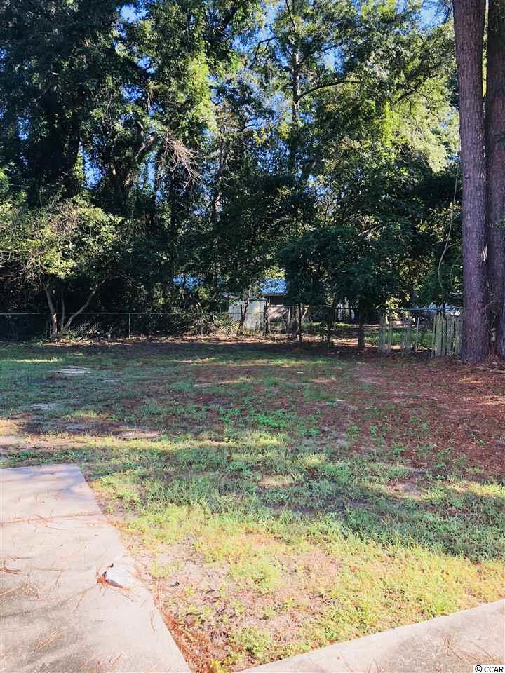 2313 South Island Road Georgetown, SC 29440 - Photo 8 of 29