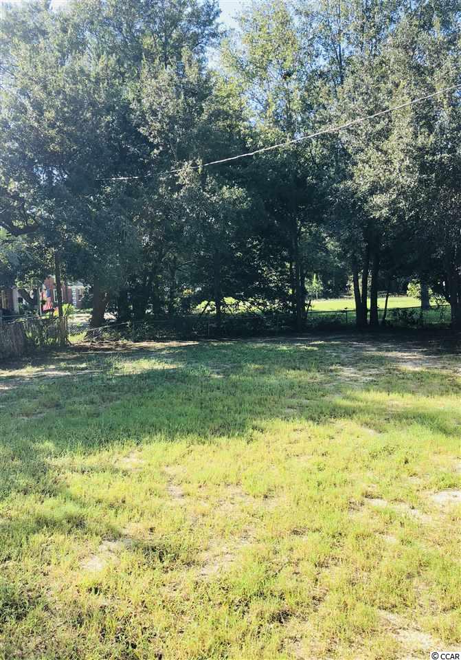 2313 South Island Road Georgetown, SC 29440 - Photo 9 of 29