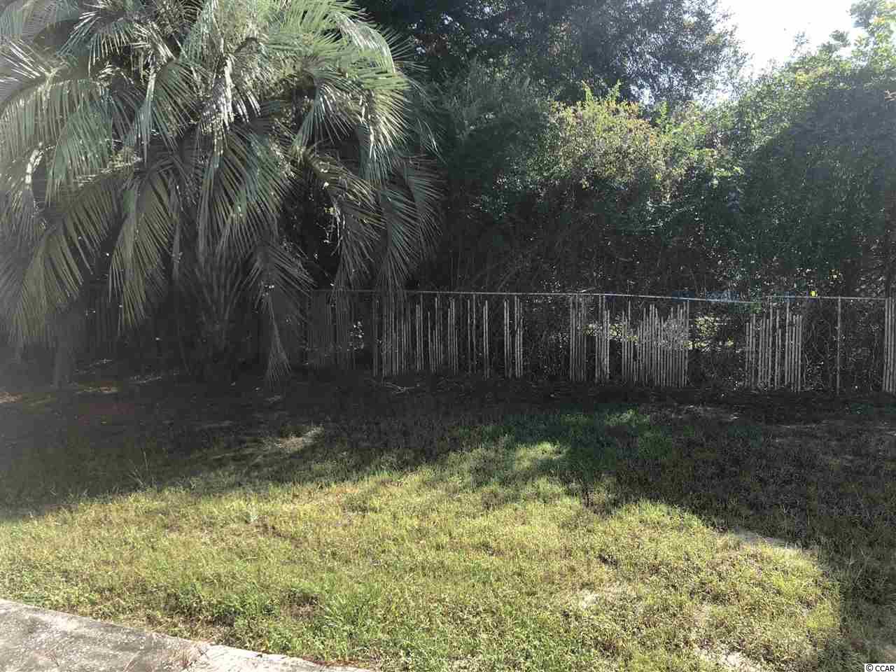 2313 South Island Road Georgetown, SC 29440 - Photo 10 of 29