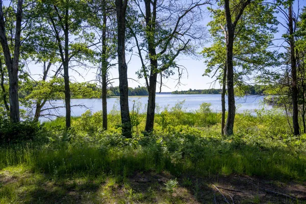 $1,250,000 | N9310 22nd Avenue, Necedah, WI 54646