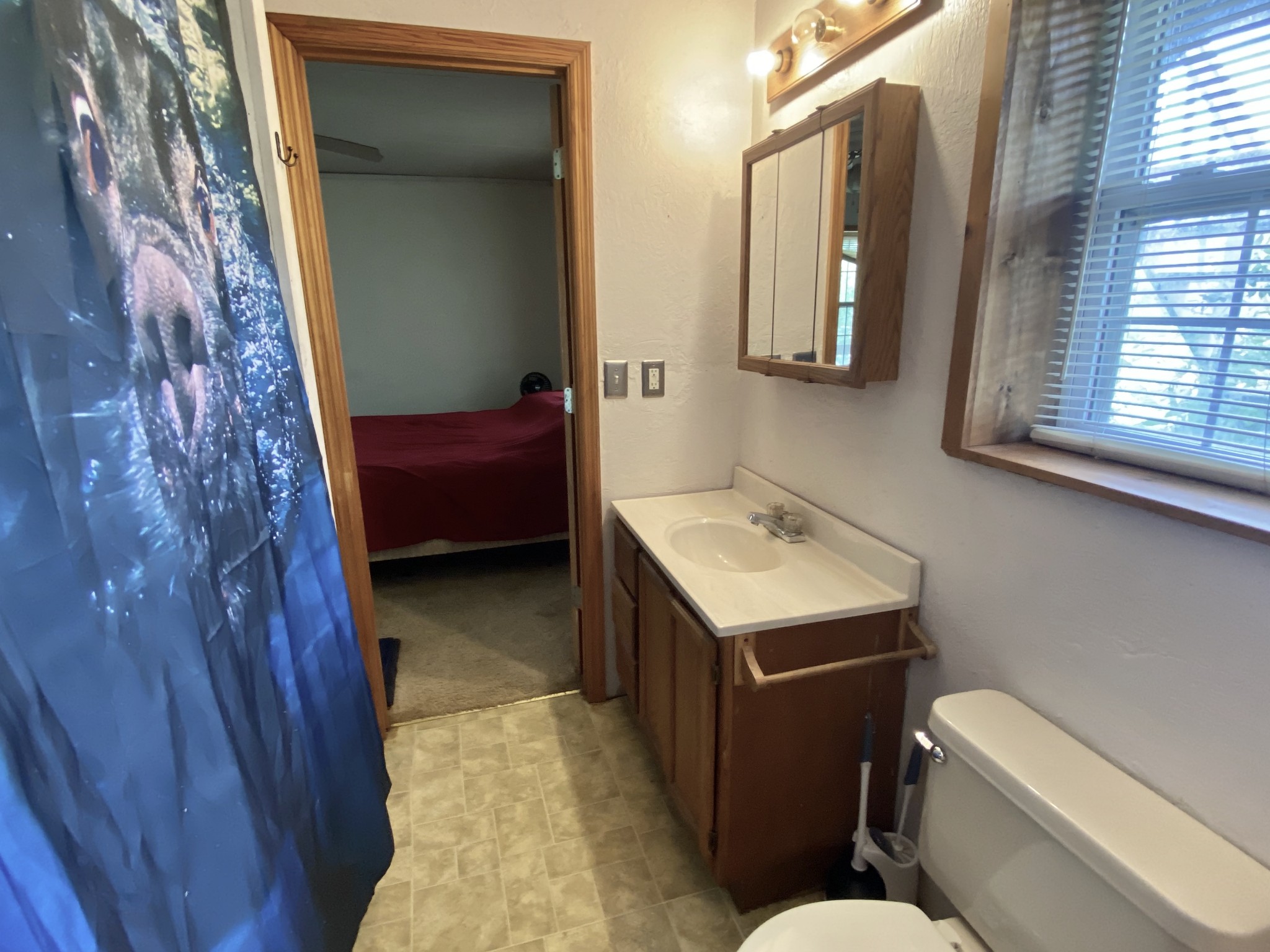 2528 Adamson Branch Road Liberty, TN 37095 - Photo 19 of 22 a bathroom with a sink and a mirror