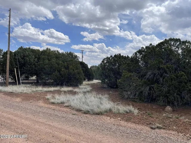 $15,000 | 1879 Turkey Flat Place, Unit 17, Show Low, AZ 85901