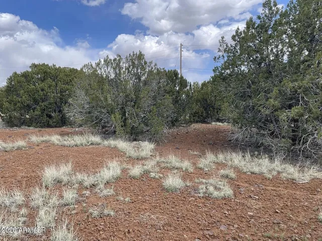 $15,000 | 1879 Turkey Flat Place, Unit 17, Show Low, AZ 85901