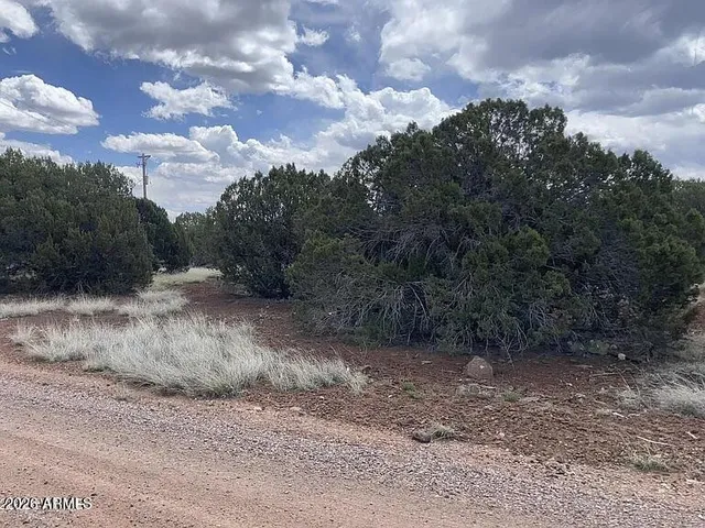 $15,000 | 1879 Turkey Flat Place, Unit 17, Show Low, AZ 85901