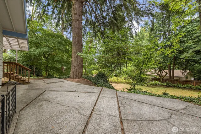 a view of a yard with a tree