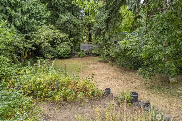 a view of a yard with plants and trees