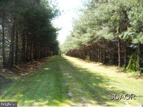 18302 Deer Forest Road Georgetown, DE 19947 - Photo 2 of 8 Gallery Image 2