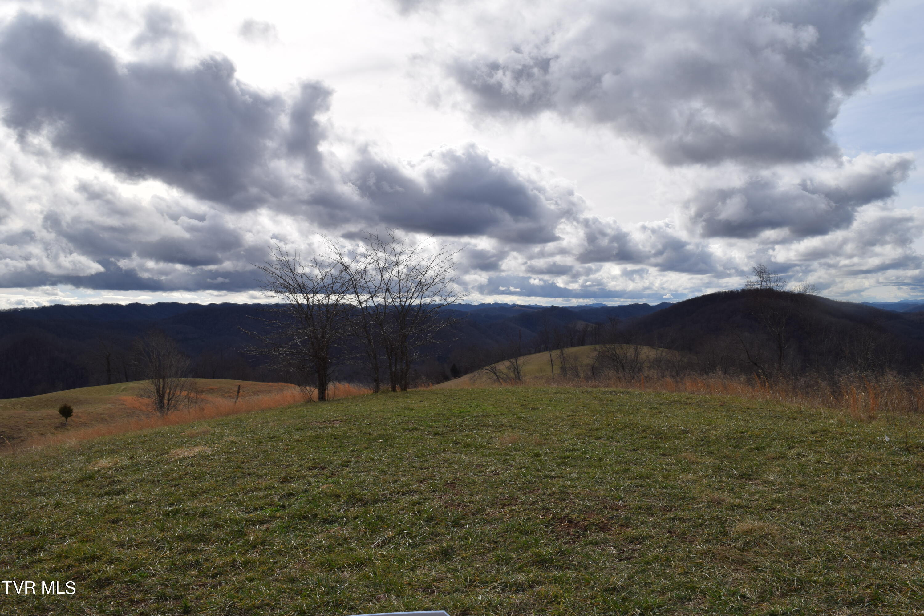 27.33-ac Big Springs Road Eidson, TN 37731 - Photo 11 of 57 DSC_0234