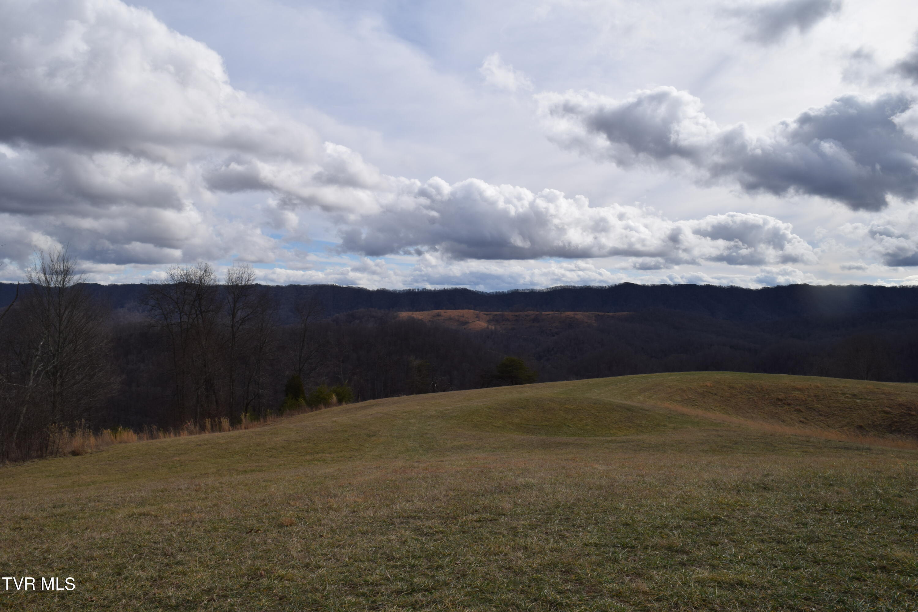 27.33-ac Big Springs Road Eidson, TN 37731 - Photo 14 of 57 DSC_0238