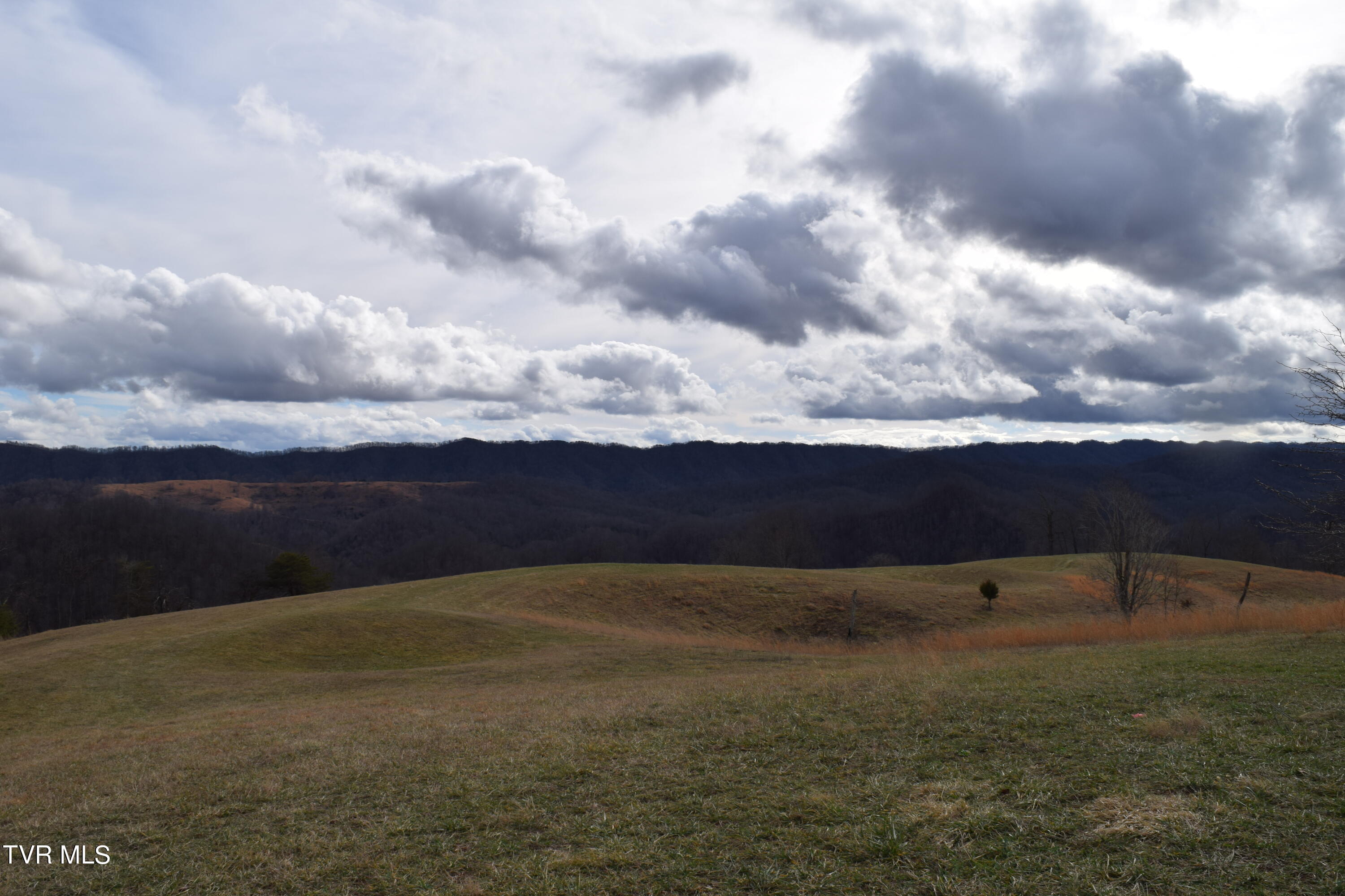 27.33-ac Big Springs Road Eidson, TN 37731 - Photo 15 of 57 DSC_0239