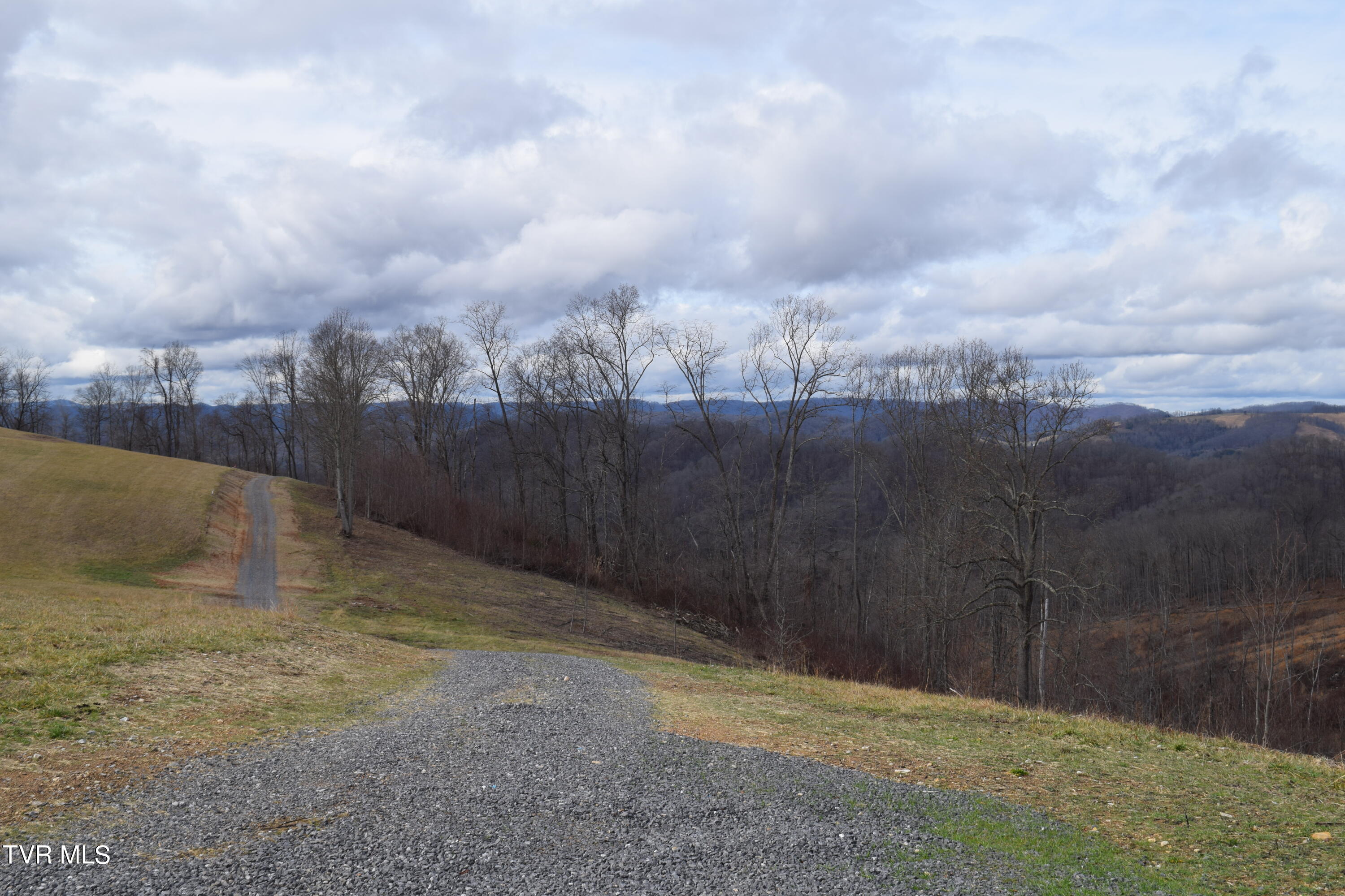 27.33-ac Big Springs Road Eidson, TN 37731 - Photo 2 of 57 DSC_0220