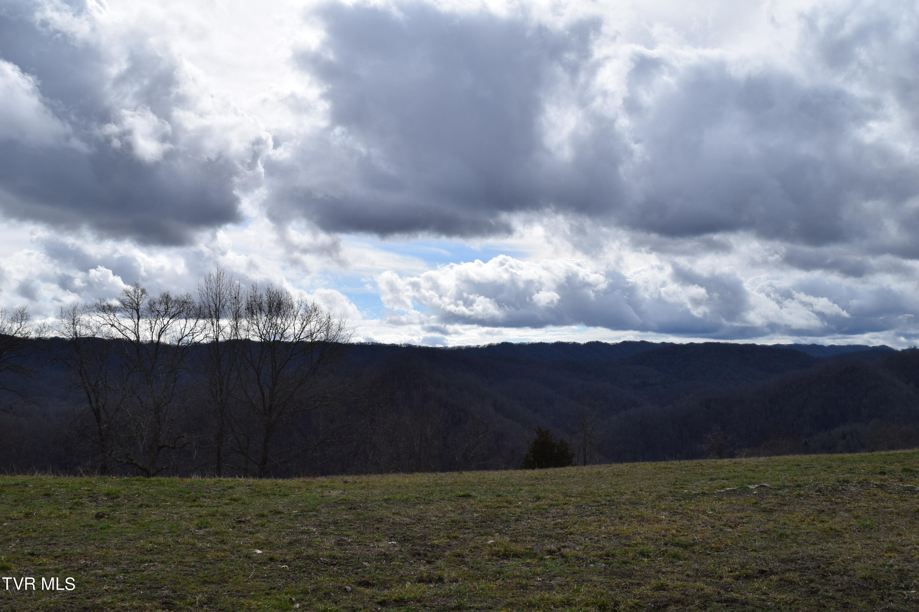 27.33-ac Big Springs Road Eidson, TN 37731 - Photo 21 of 57 DSC_0224