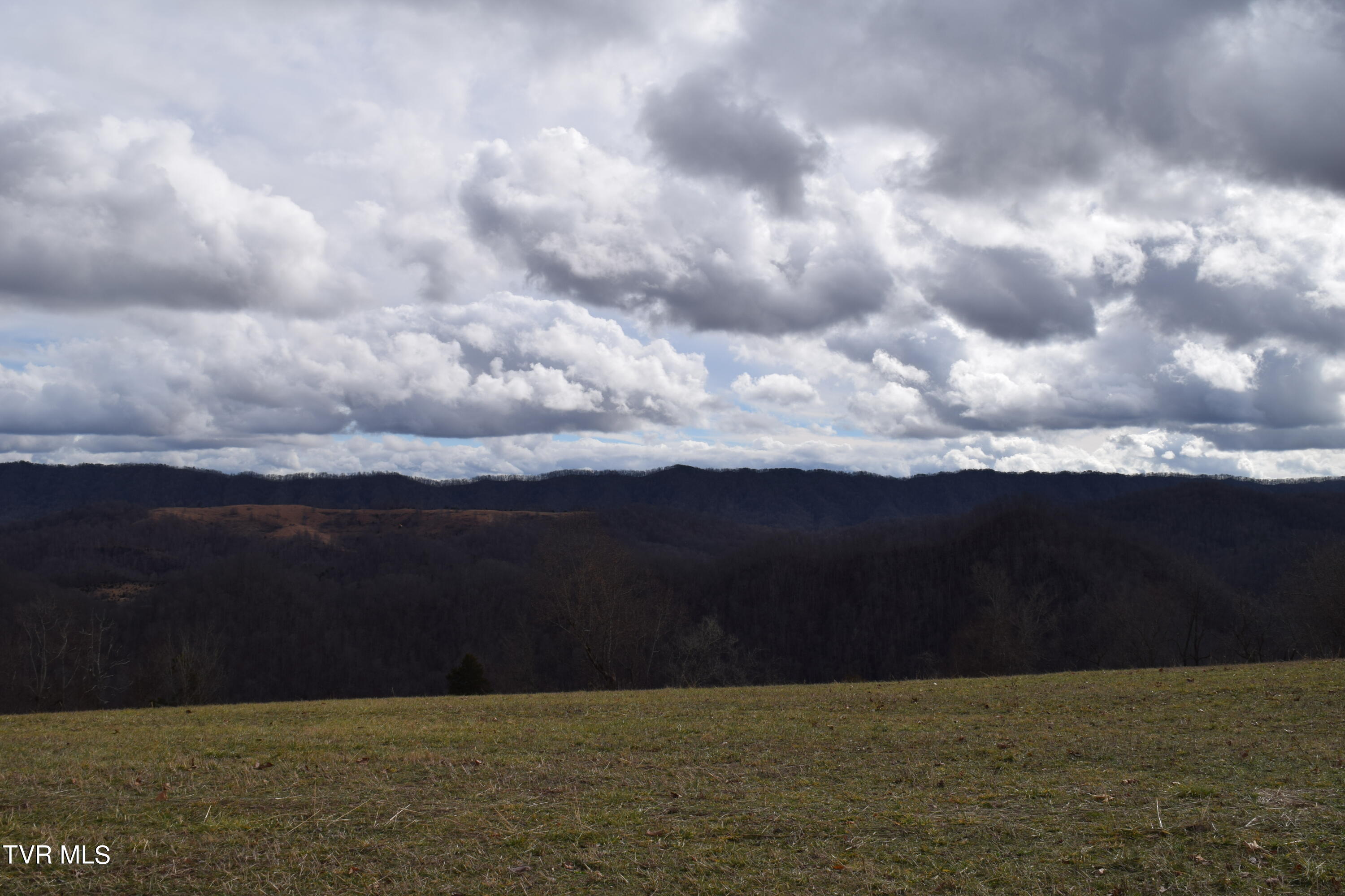 27.33-ac Big Springs Road Eidson, TN 37731 - Photo 22 of 57 DSC_0228