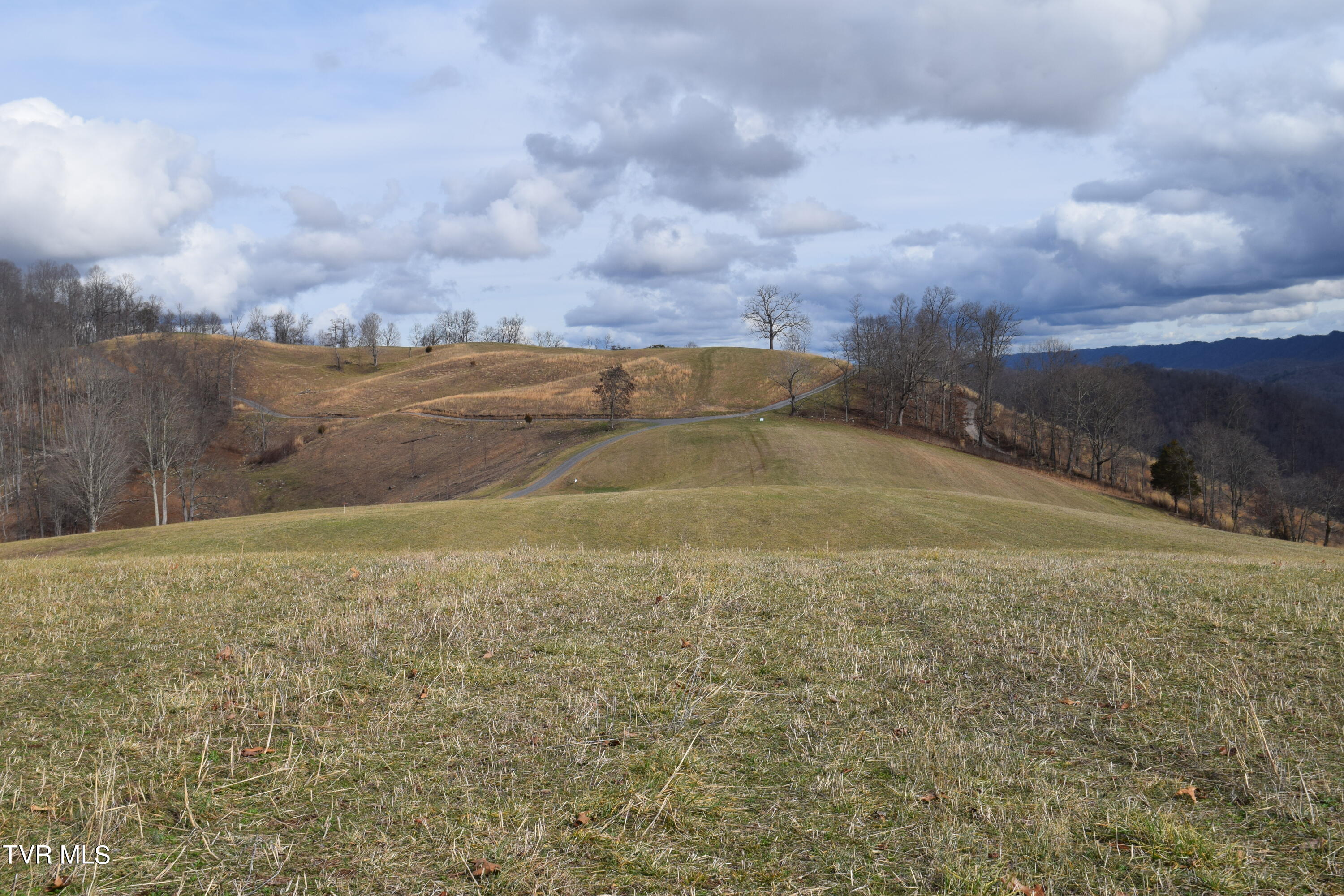27.33-ac Big Springs Road Eidson, TN 37731 - Photo 23 of 57 DSC_0232