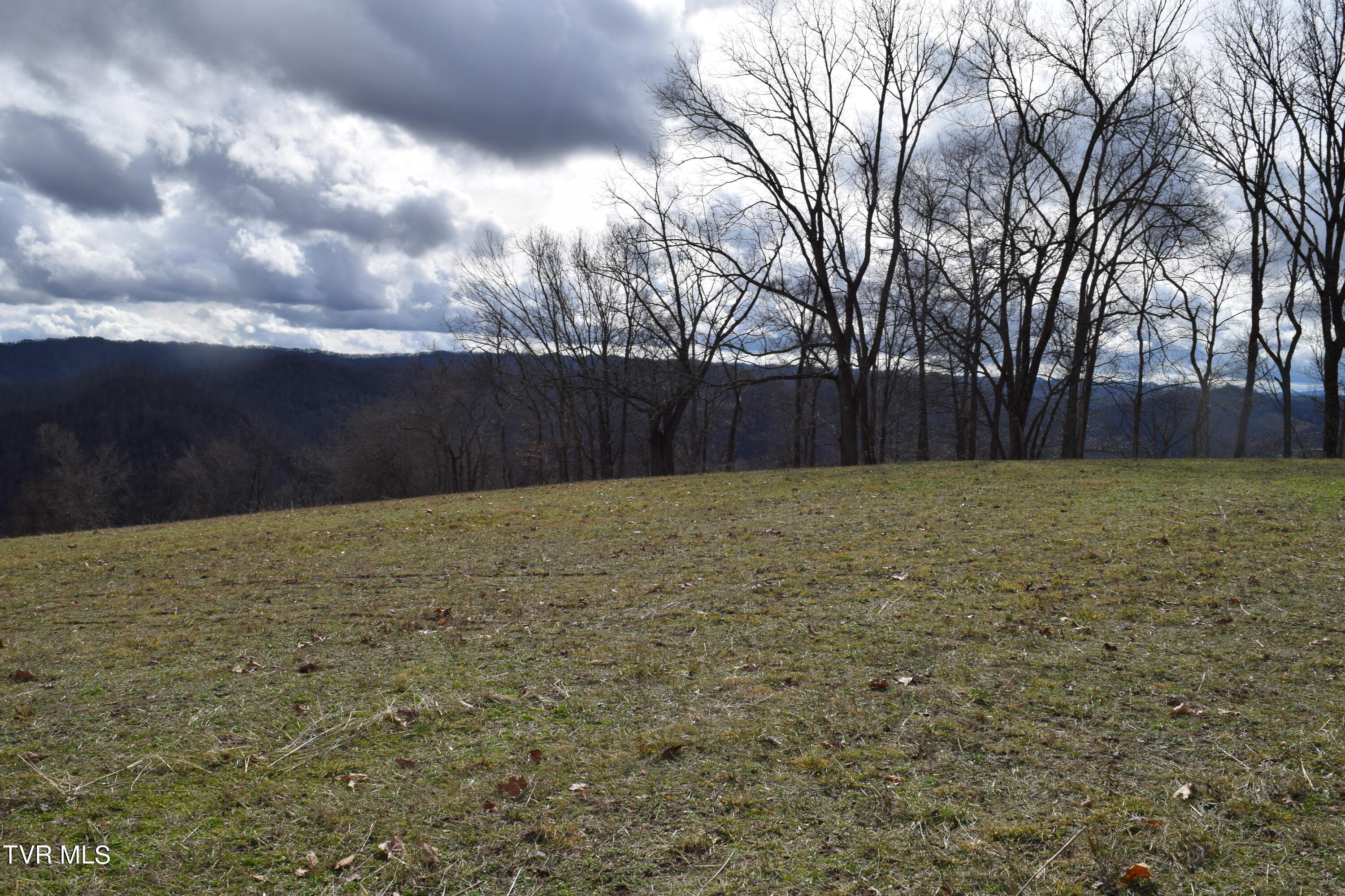 27.33-ac Big Springs Road Eidson, TN 37731 - Photo 24 of 57 DSC_0233